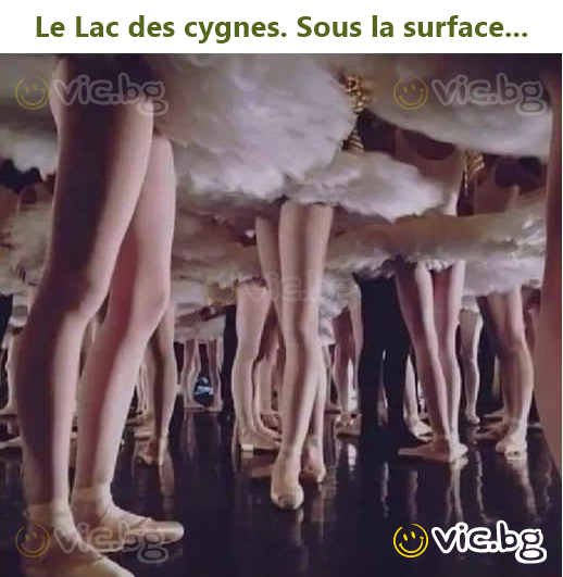 Swan Lake. Beneath the surface...