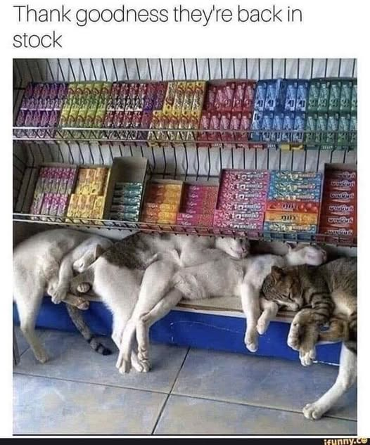 Thank goodness they're back in