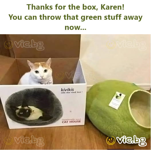 Thanks for the box, Karen!  You can throw that green stuff away now...