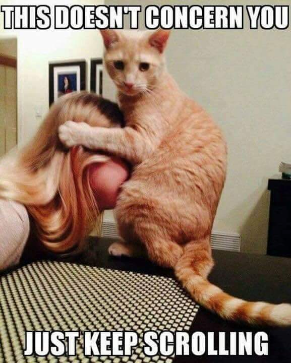 That doesn't concern you, just keep scrolling