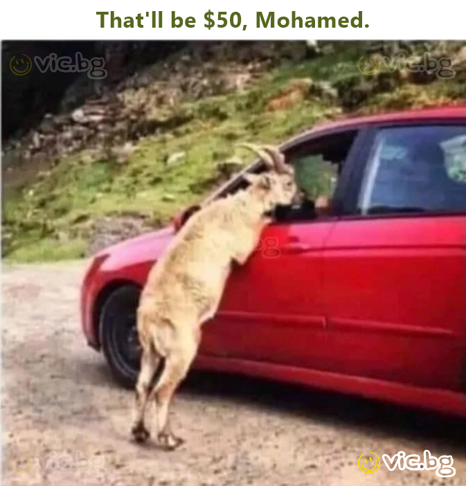 That'll be $50, Mohamed.