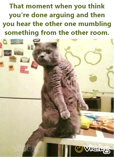 That moment when you think you’re done arguing and then you hear the other one mumbling something from the other room.