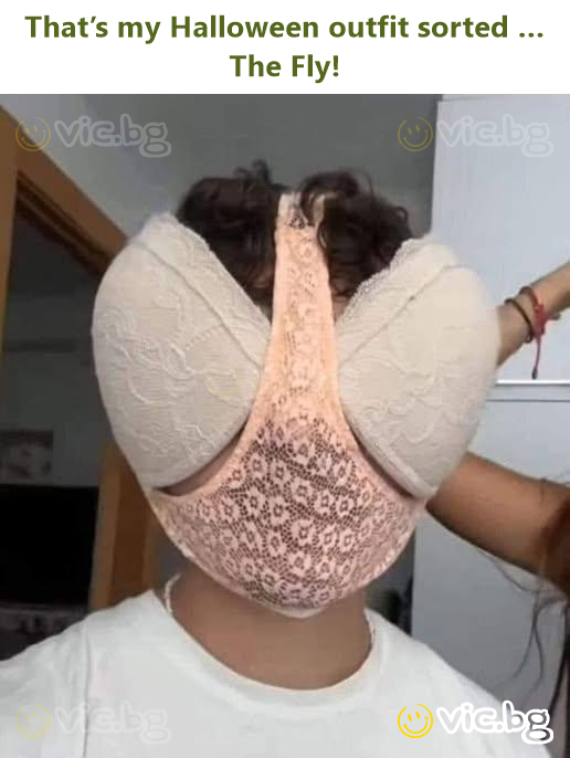 That’s my Halloween outfit sorted … The Fly!