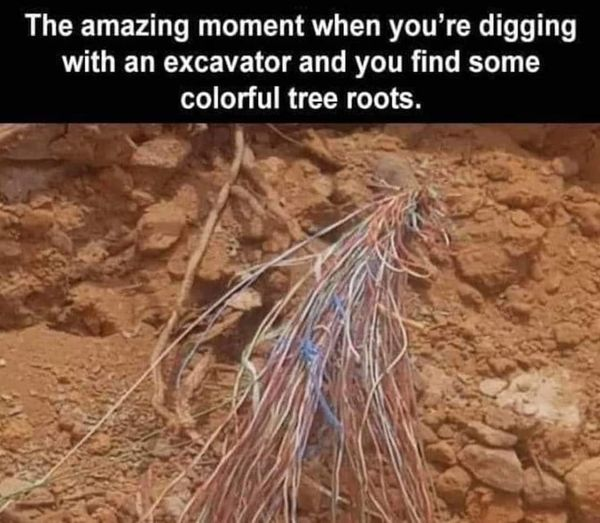The amazing moment when you're digging with an excavator and you find some colorful tree roots.
