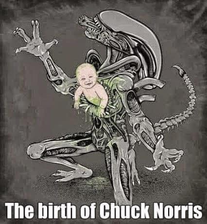 The birth of Chuck Norris