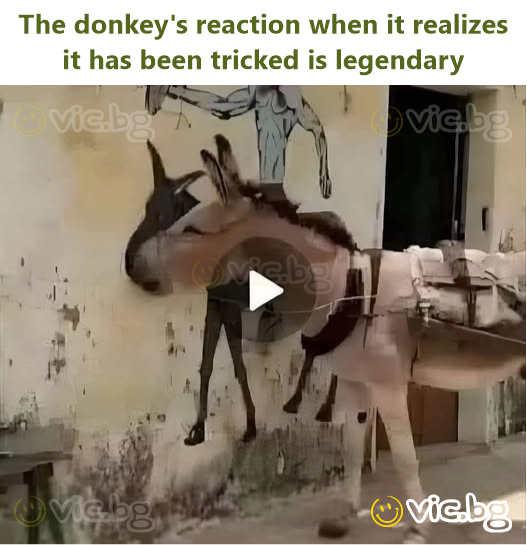 The donkey's reaction when it realizes it has been tricked is legendary
