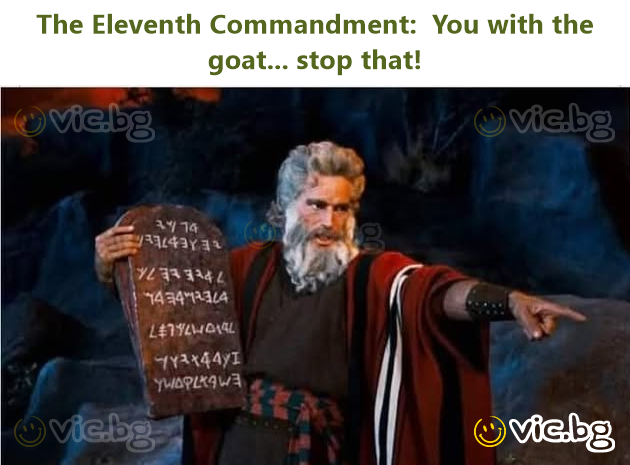 The Eleventh Commandment:  You with the goat... stop that!