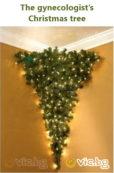 The gynecologist’s Christmas tree