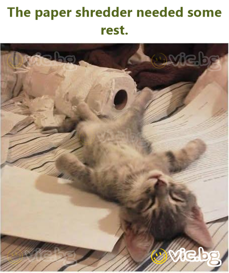 The paper shredder needed some rest.