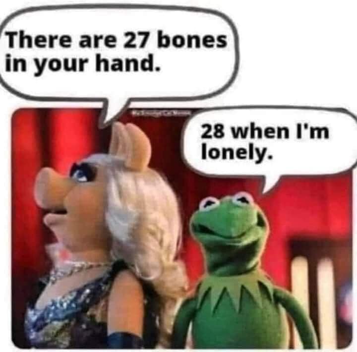 There are 27 bones in your hand. 28, when I'm lonely