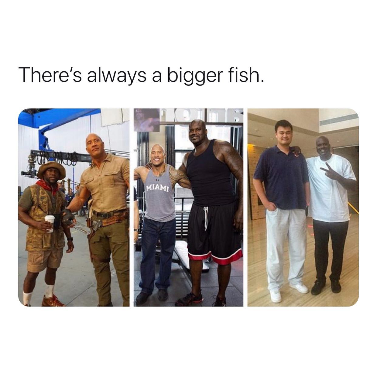 There is always bigger fish