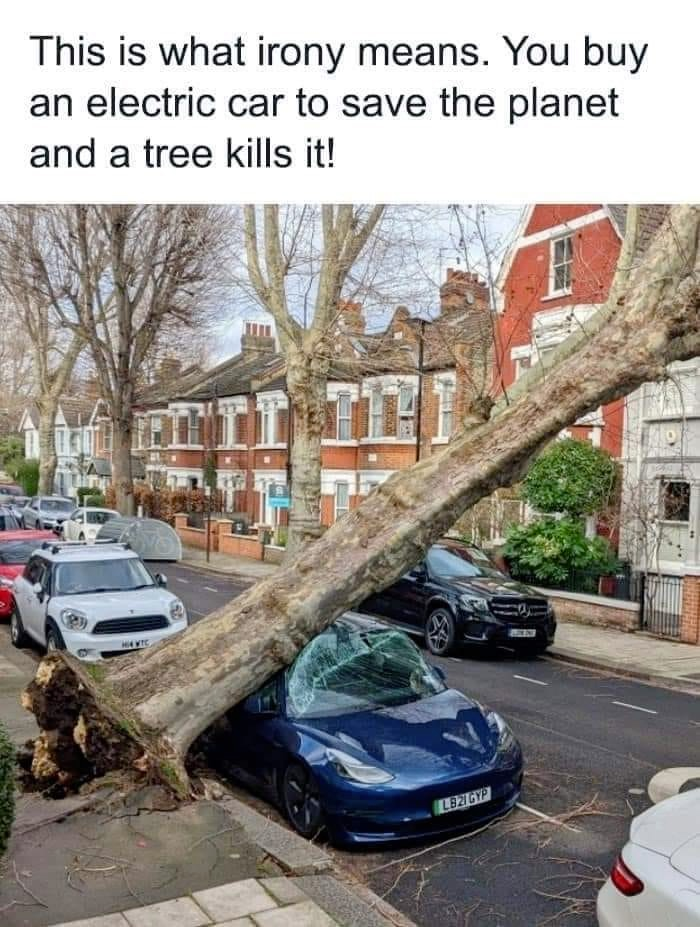 This is what irony means. You buy an electric car to save the planet and a tree kills it! 