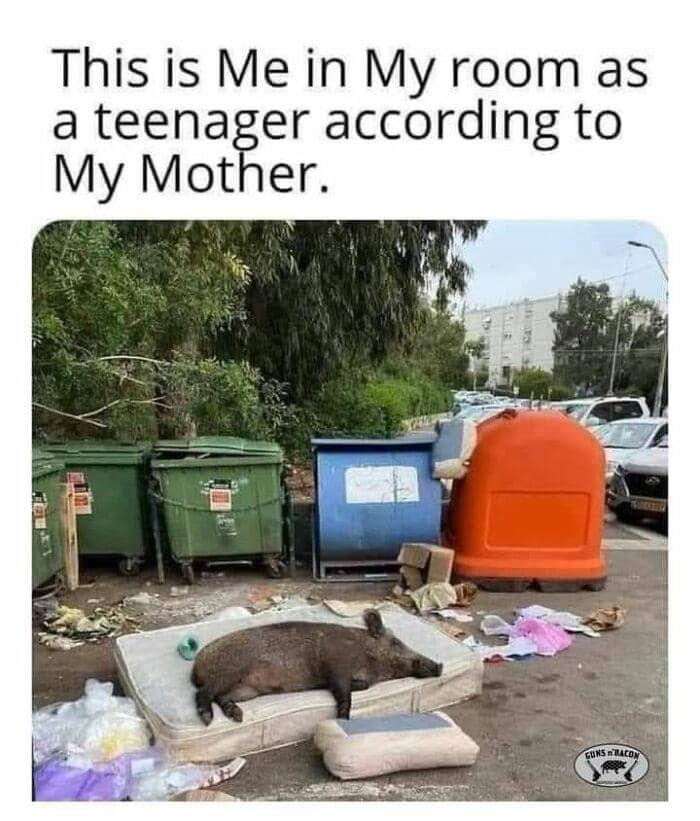 This is Ме in Му room as а teenager according to Му Mother.