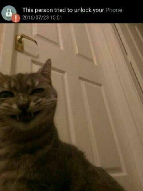 This person tried to unlock your phone
