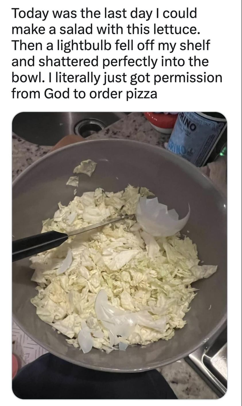 Today was the last day I could make a salad with this lettuce. Then a lightbulb fell off my shelf and shattered perfectly into the bowl.  I literally just got permission from God to order pizza