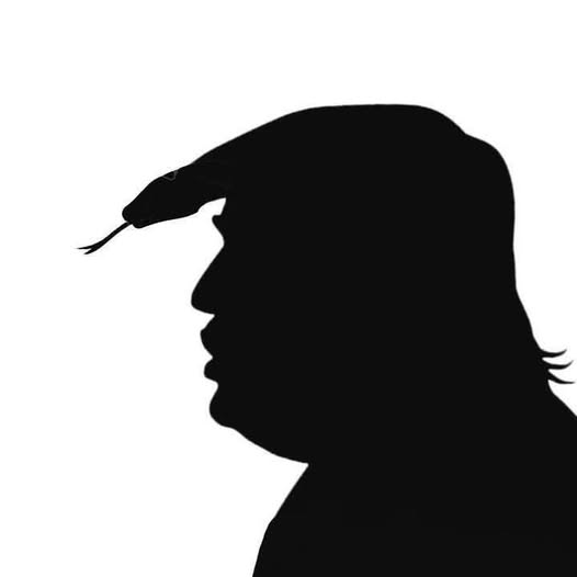 Trump - snake