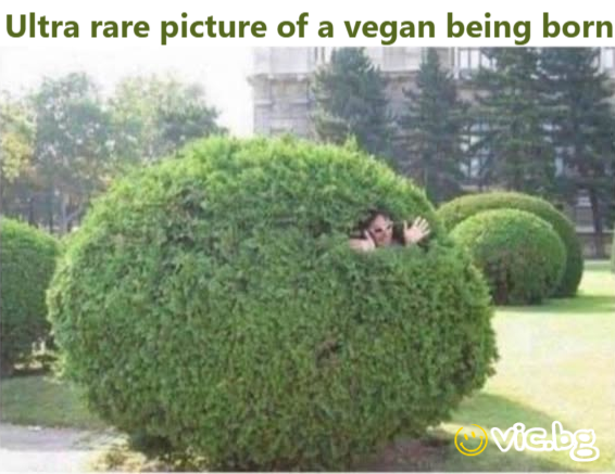 Ultra rare picture of a vegan being born
