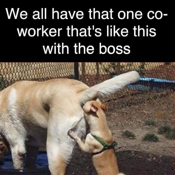 We all have that one co-worker 