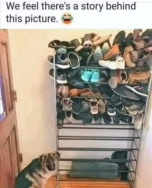 We feel there's а story behind this picture.