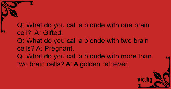 2. "What do you call a blonde with a brain?" - wide 5