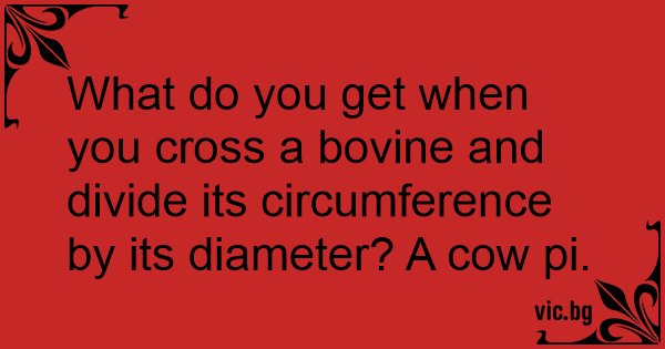 what-do-you-get-when-you-cross-a-bovine-and-divide-its-circumference-by