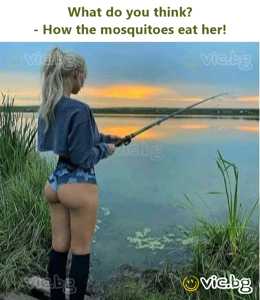 What do you think?  - How the mosquitoes eat her!