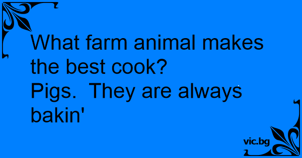 what-farm-animal-makes-the-best-cook-pigs-they-are-always-bakin