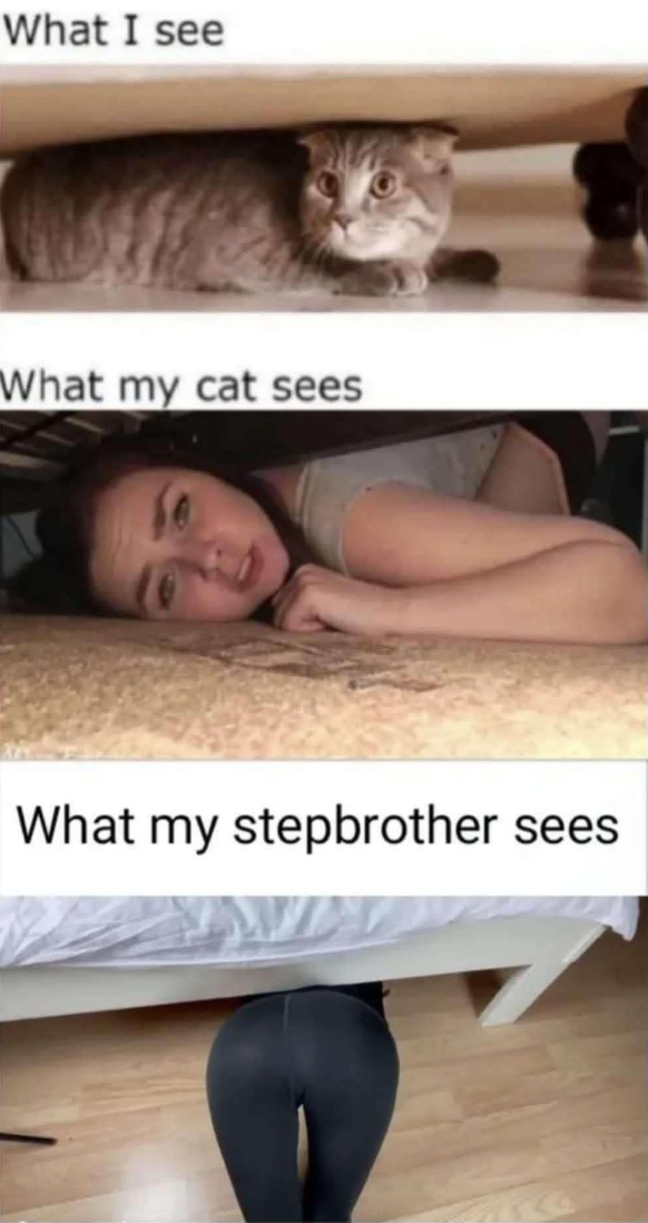 What I see
What my cat sees
What my stepbrother sees
