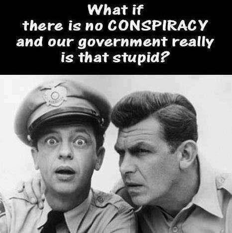 What if our government is really stupid?