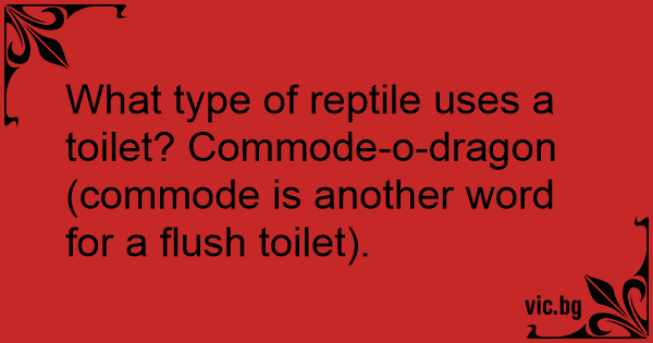 what-type-of-reptile-uses-a-toilet-commode-o-dragon-commode-is