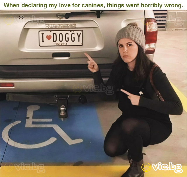 When declaring my love for canines, things went horribly wrong.