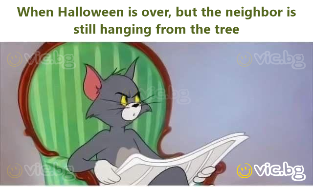 When Halloween is over, but the neighbor is still hanging from the tree