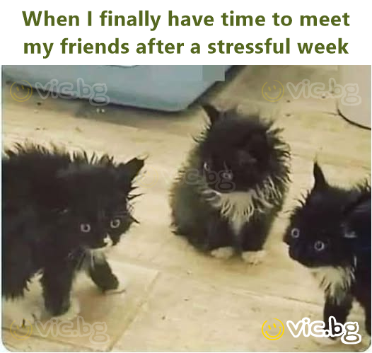 When I finally have time to meet my friends after a stressful week