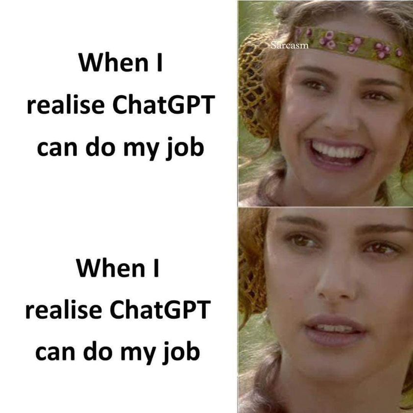 When I realize ChatGPT can do my job
