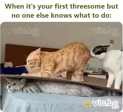 When it's your first threesome but no one else knows what to do: