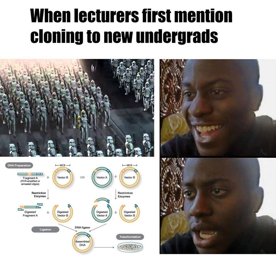 when lecturers first mention cloning to new undergrads