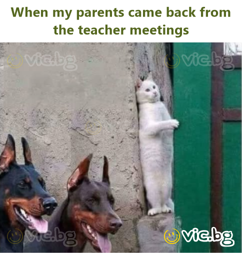 When my parents came back from the teacher meetings