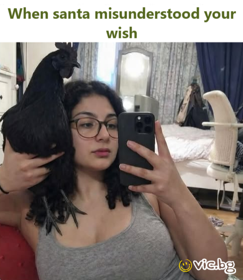 When santa misunderstood your wish