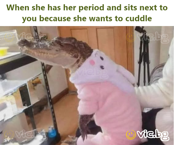 When she has her period and sits next to you because she wants to cuddle