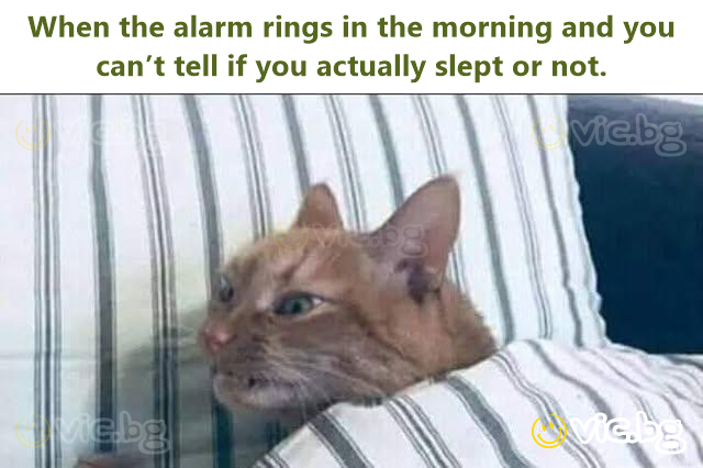 When the alarm rings in the morning and you can’t tell if you actually slept or not.