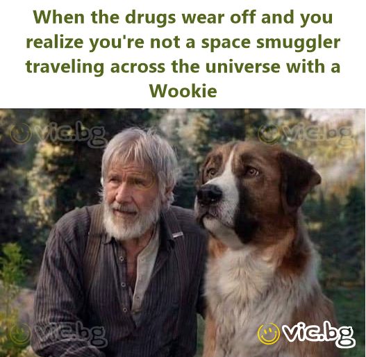 When the drugs wear off and you realize you're not a space smuggler traveling across the universe with a Wookie