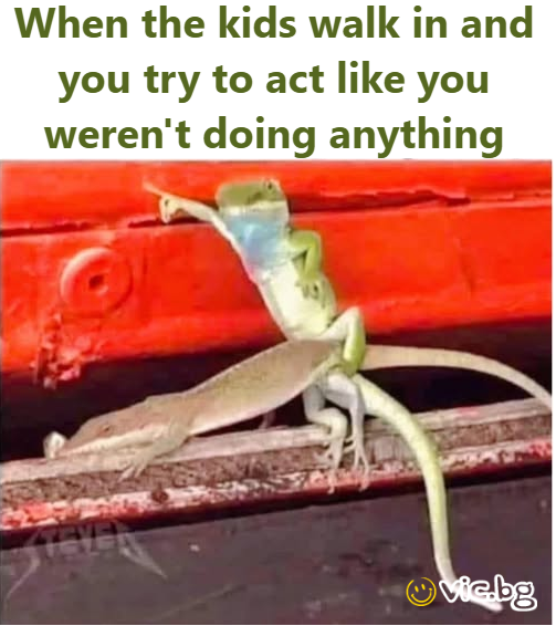 When the kids walk in and you try to act like you weren't doing anything