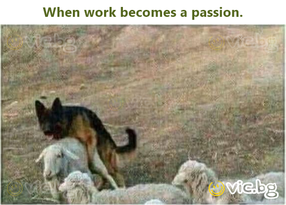 When work becomes a passion.