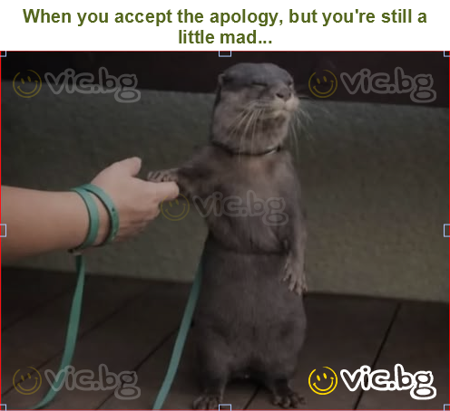 When you accept the apology, but you're still a little mad...