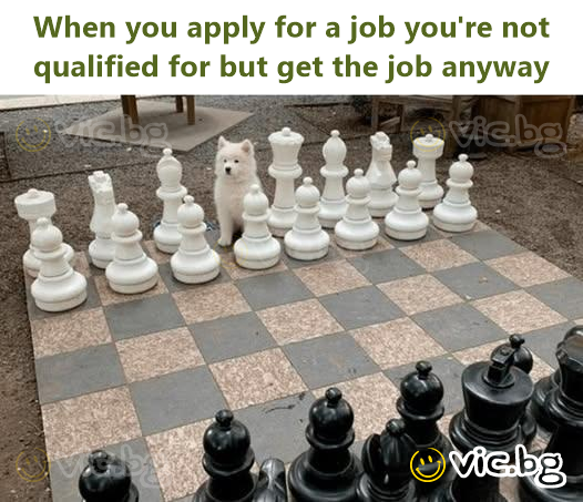 When you apply for a job you're not qualified for but get the job anyway