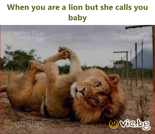 When you are a lion but she calls you baby