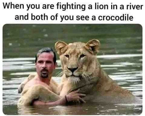 When you are fighting with a lion in the river and both of you see crocodile