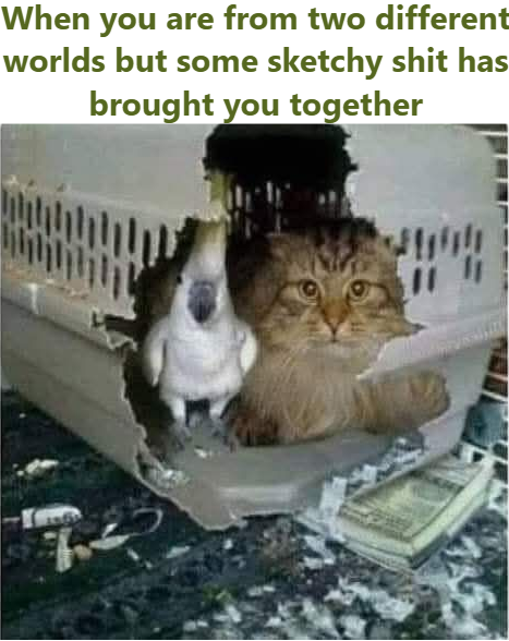 When you are from two different worlds but some sketchy shit has brought you together