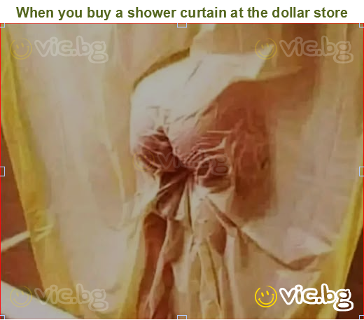 When you buy a shower curtain at the dollar store