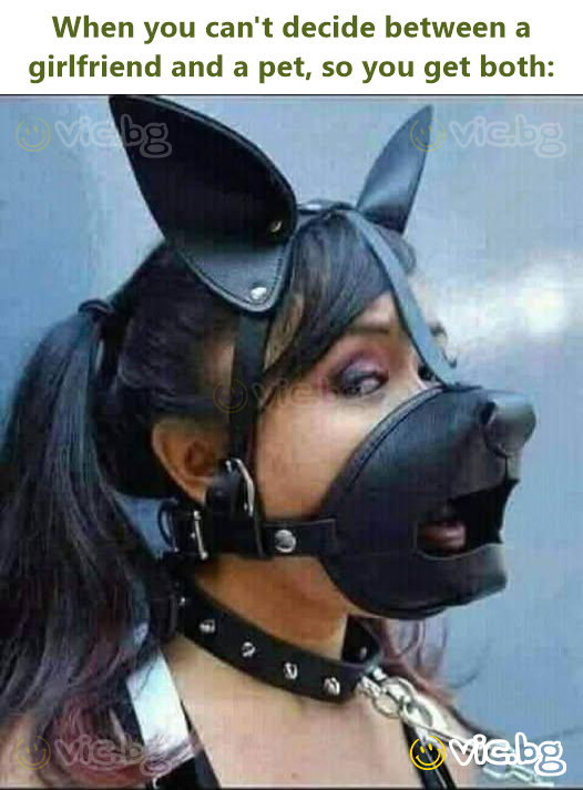 When you can't decide between a girlfriend and a pet, so you get both: